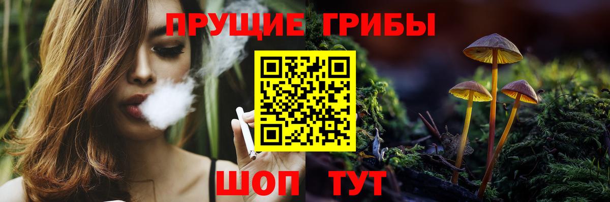 Галлюциногенные грибы Magic Shrooms  Галлюциногенные грибы Cubensis  Вход с VPN  Павлово 